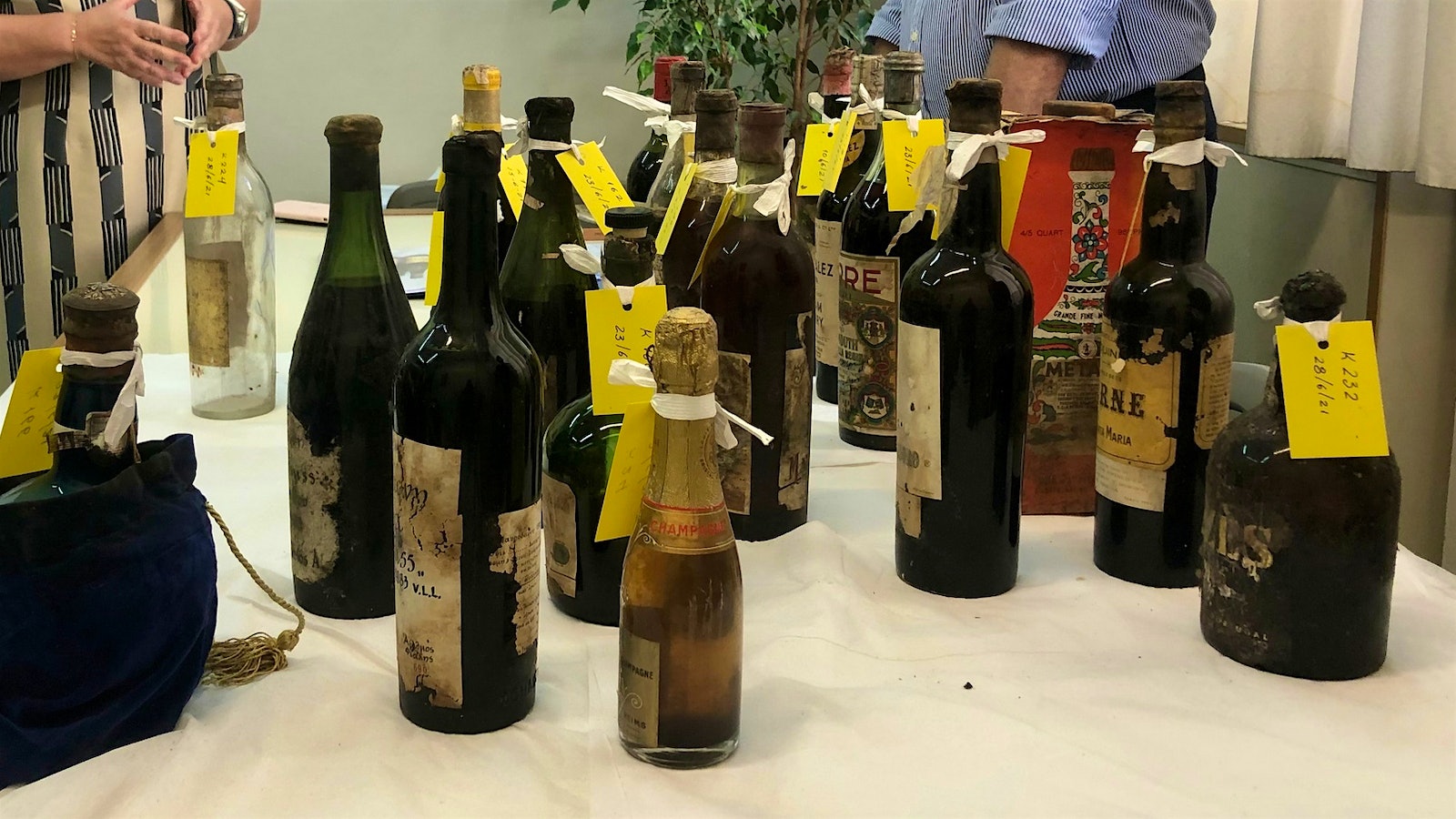 Bottles of wine and spirits discovered at Tatoi Palace, Greece's former royal residence